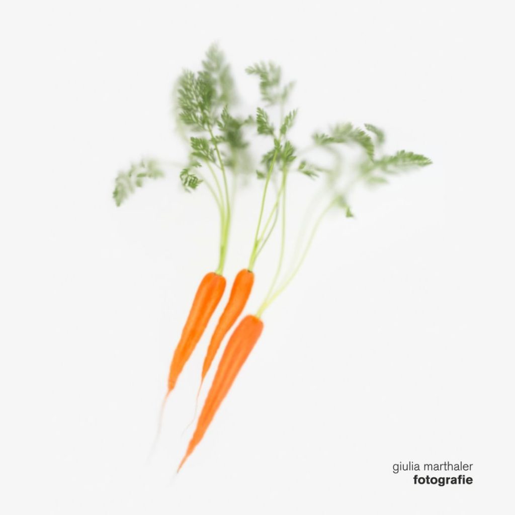 Photographer Profile: Giulia Marthaler